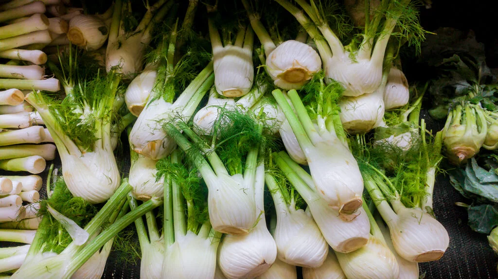 Discover the Health Benefits of Fennel